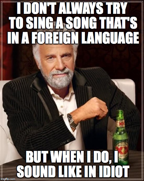Stick to Your Day Job | I DON'T ALWAYS TRY TO SING A SONG THAT'S IN A FOREIGN LANGUAGE BUT WHEN I DO, I SOUND LIKE IN IDIOT | image tagged in memes,the most interesting man in the world,singing,foreign language,idiot | made w/ Imgflip meme maker