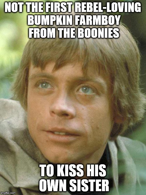 "Nerf" herder? | NOT THE FIRST REBEL-LOVING BUMPKIN FARMBOY FROM THE BOONIES TO KISS HIS OWN SISTER | image tagged in luke skywalker | made w/ Imgflip meme maker