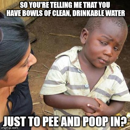 Third World Skeptical Kid | SO YOU'RE TELLING ME THAT YOU HAVE BOWLS OF CLEAN, DRINKABLE WATER JUST TO PEE AND POOP IN? | image tagged in memes,third world skeptical kid | made w/ Imgflip meme maker