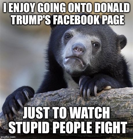 Confession Bear | I ENJOY GOING ONTO DONALD TRUMP'S FACEBOOK PAGE JUST TO WATCH STUPID PEOPLE FIGHT | image tagged in memes,confession bear,AdviceAnimals | made w/ Imgflip meme maker