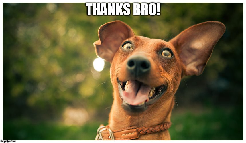 crazy mutt | THANKS BRO! | image tagged in crazy mutt | made w/ Imgflip meme maker