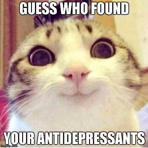 Happy cat | GUESS WHO FOUND YOUR ANTIDEPRESSANTS | image tagged in happy cat | made w/ Imgflip meme maker