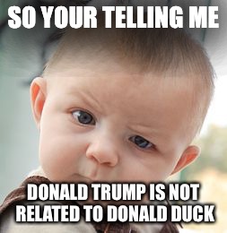 Skeptical Baby Meme | SO YOUR TELLING ME DONALD TRUMP IS NOT RELATED TO DONALD DUCK | image tagged in memes,skeptical baby | made w/ Imgflip meme maker