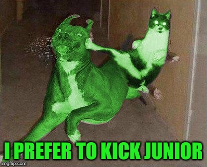 RayCat kicking RayDog | I PREFER TO KICK JUNIOR | image tagged in raycat kicking raydog | made w/ Imgflip meme maker