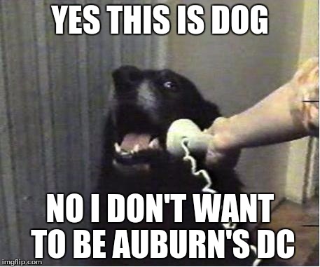 Yes this is dog | YES THIS IS DOG NO I DON'T WANT TO BE AUBURN'S DC | image tagged in yes this is dog | made w/ Imgflip meme maker