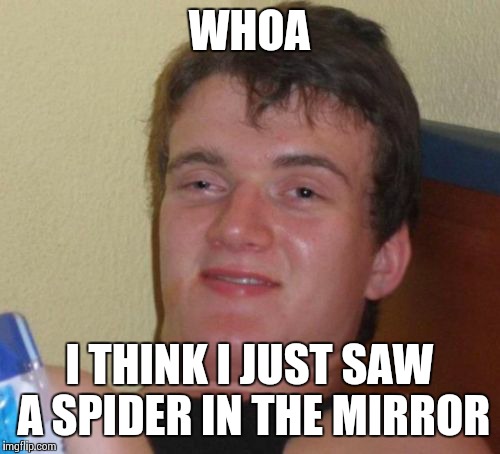 10 Guy Meme | WHOA I THINK I JUST SAW A SPIDER IN THE MIRROR | image tagged in memes,10 guy | made w/ Imgflip meme maker