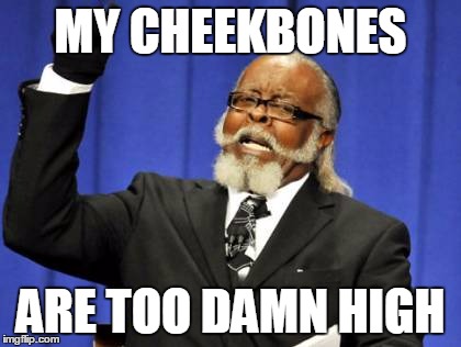 Too Damn High | MY CHEEKBONES ARE TOO DAMN HIGH | image tagged in memes,too damn high | made w/ Imgflip meme maker