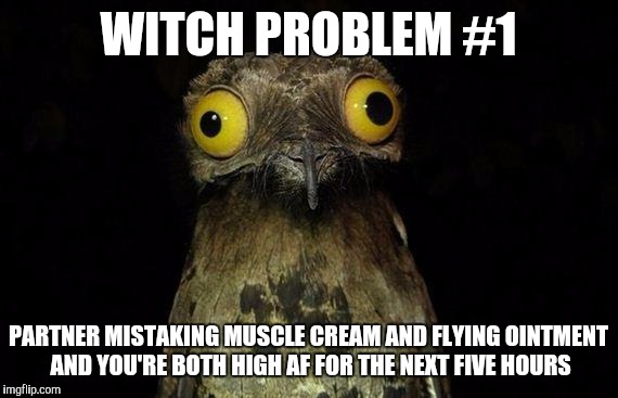 Weird Stuff I Do Potoo Meme | WITCH PROBLEM #1 PARTNER MISTAKING MUSCLE CREAM AND FLYING OINTMENT AND YOU'RE BOTH HIGH AF FOR THE NEXT FIVE HOURS | image tagged in memes,weird stuff i do potoo | made w/ Imgflip meme maker