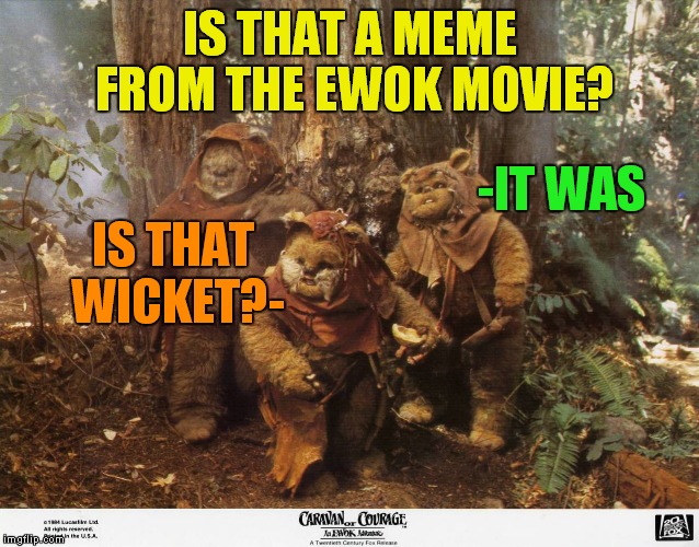 IS THAT A MEME FROM THE EWOK MOVIE? -IT WAS IS THAT WICKET?- | made w/ Imgflip meme maker