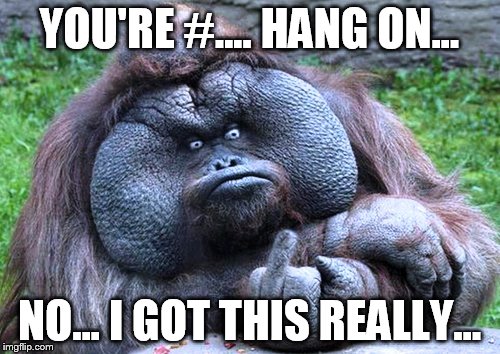 YOU'RE #.... HANG ON... NO... I GOT THIS REALLY... | made w/ Imgflip meme maker
