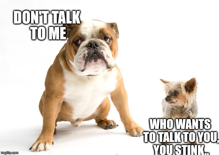 DON'T TALK TO ME WHO WANTS TO TALK TO YOU, YOU STINK.. | image tagged in bulldogbadass | made w/ Imgflip meme maker