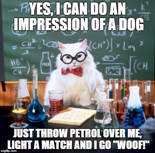 Chemistry Cat | YES, I CAN DO AN IMPRESSION OF A DOG JUST THROW PETROL OVER ME, LIGHT A MATCH AND I GO "WOOF!" | image tagged in memes,chemistry cat | made w/ Imgflip meme maker