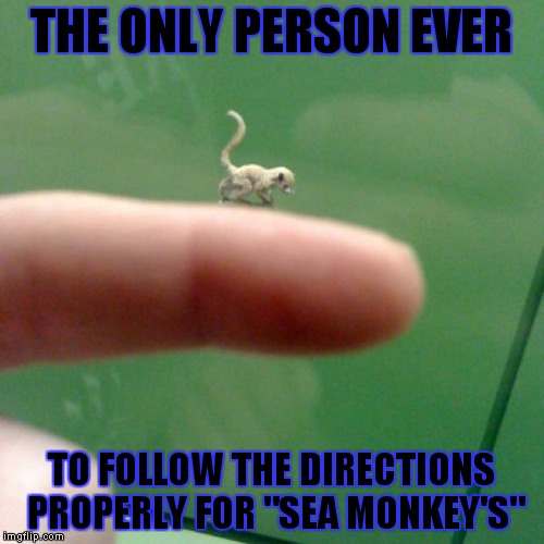 Somebody did it! | THE ONLY PERSON EVER TO FOLLOW THE DIRECTIONS PROPERLY FOR "SEA MONKEY'S" | image tagged in funny,childhood,kids toys | made w/ Imgflip meme maker