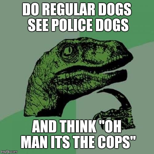 Philosoraptor | DO REGULAR DOGS SEE POLICE DOGS AND THINK "OH MAN ITS THE COPS" | image tagged in memes,funny,philosoraptor,animals | made w/ Imgflip meme maker