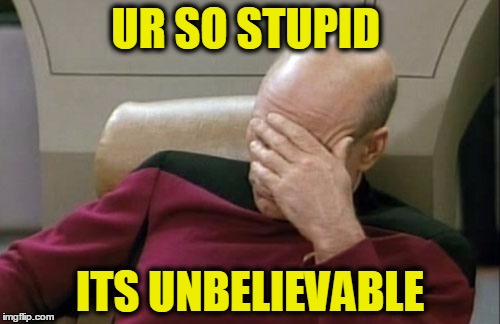 made by LIKABOSS2002 aka kahmahl | UR SO STUPID ITS UNBELIEVABLE | image tagged in captain picard facepalm | made w/ Imgflip meme maker