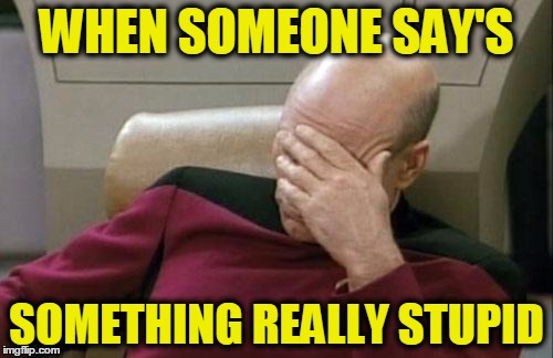 made by LIKABOSS2002 aka kahmahl | WHEN SOMEONE SAY'S SOMETHING REALLY STUPID | image tagged in memes,captain picard facepalm | made w/ Imgflip meme maker