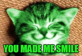 happy RayCat | YOU MADE ME SMILE | image tagged in happy raycat | made w/ Imgflip meme maker