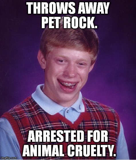 Brian, you are one evil sicko. >:( | THROWS AWAY PET ROCK. ARRESTED FOR ANIMAL CRUELTY. | image tagged in memes,bad luck brian | made w/ Imgflip meme maker
