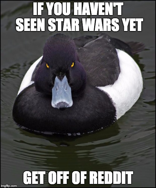 Angry duck | IF YOU HAVEN'T SEEN STAR WARS YET GET OFF OF REDDIT | image tagged in angry duck | made w/ Imgflip meme maker