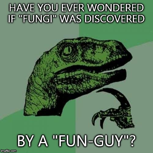 Philosoraptor | HAVE YOU EVER WONDERED IF "FUNGI" WAS DISCOVERED BY A "FUN-GUY"? | image tagged in memes,philosoraptor | made w/ Imgflip meme maker