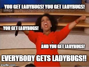 Oprah You Get A | YOU GET LADYBUGS! YOU GET LADYBUGS! AND YOU GET LADYBUGS! YOU GET LADYBUGS! EVERYBODY GETS LADYBUGS!! | image tagged in you get an oprah | made w/ Imgflip meme maker