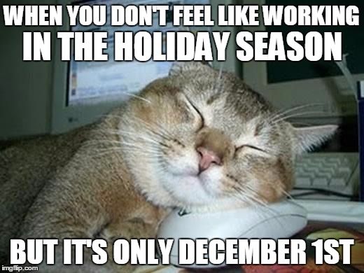 sleepy cat | WHEN YOU DON'T FEEL LIKE WORKING BUT IT'S ONLY DECEMBER 1ST IN THE HOLIDAY SEASON | image tagged in sleepy cat | made w/ Imgflip meme maker