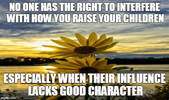 NO ONE HAS THE RIGHT TO INTERFERE WITH HOW YOU RAISE YOUR CHILDREN ESPECIALLY WHEN THEIR INFLUENCE LACKS GOOD CHARACTER | image tagged in children | made w/ Imgflip meme maker