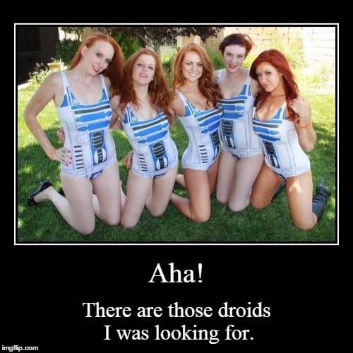 Droids | image tagged in funny,demotivationals | made w/ Imgflip demotivational maker