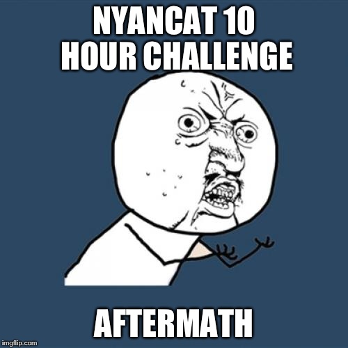 Y U No Meme | NYANCAT 10 HOUR CHALLENGE AFTERMATH | image tagged in memes,y u no | made w/ Imgflip meme maker