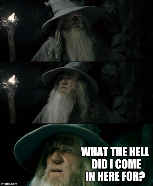 Confused Gandalf | WHAT THE HELL DID I COME IN HERE FOR? | image tagged in memes,confused gandalf | made w/ Imgflip meme maker