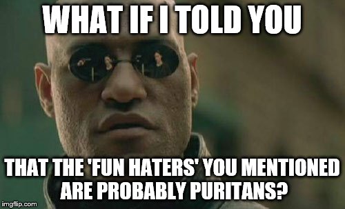 Matrix Morpheus Meme | WHAT IF I TOLD YOU THAT THE 'FUN HATERS' YOU MENTIONED ARE PROBABLY PURITANS? | image tagged in memes,matrix morpheus | made w/ Imgflip meme maker