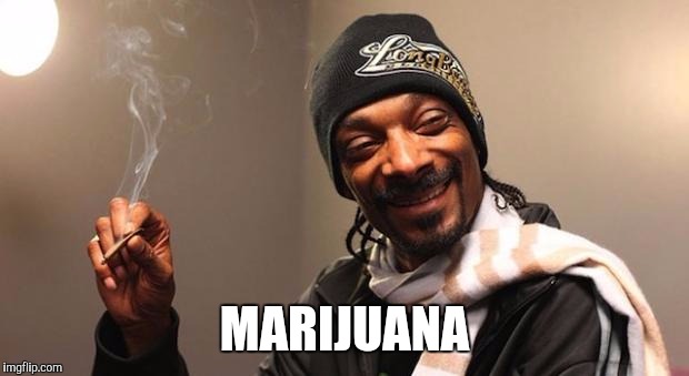 Snoop Dogg | MARIJUANA | image tagged in snoop dogg | made w/ Imgflip meme maker