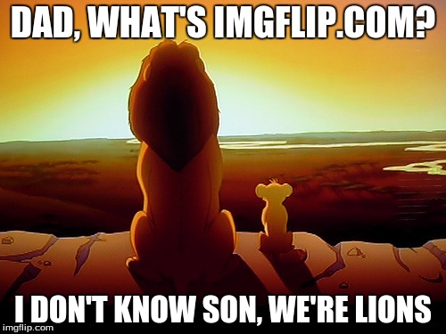 Lion King | DAD, WHAT'S IMGFLIP.COM? I DON'T KNOW SON, WE'RE LIONS | image tagged in memes,lion king | made w/ Imgflip meme maker