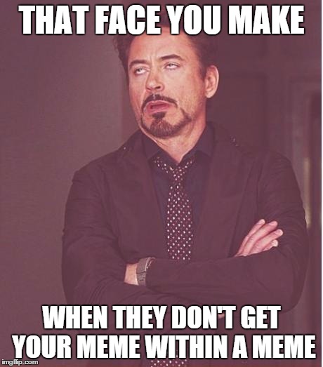 THAT FACE YOU MAKE WHEN THEY DON'T GET YOUR MEME WITHIN A MEME | image tagged in memes,face you make robert downey jr | made w/ Imgflip meme maker