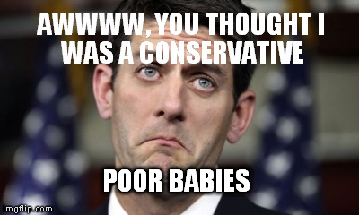RyanRino | AWWWW, YOU THOUGHT I POOR BABIES WAS A CONSERVATIVE | image tagged in ryan rino | made w/ Imgflip meme maker