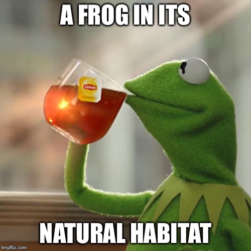 But That's None Of My Business | A FROG IN ITS NATURAL HABITAT | image tagged in memes,but thats none of my business,kermit the frog | made w/ Imgflip meme maker