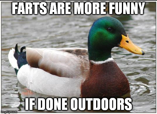 Actual Advice Mallard | FARTS ARE MORE FUNNY IF DONE OUTDOORS | image tagged in memes,actual advice mallard | made w/ Imgflip meme maker