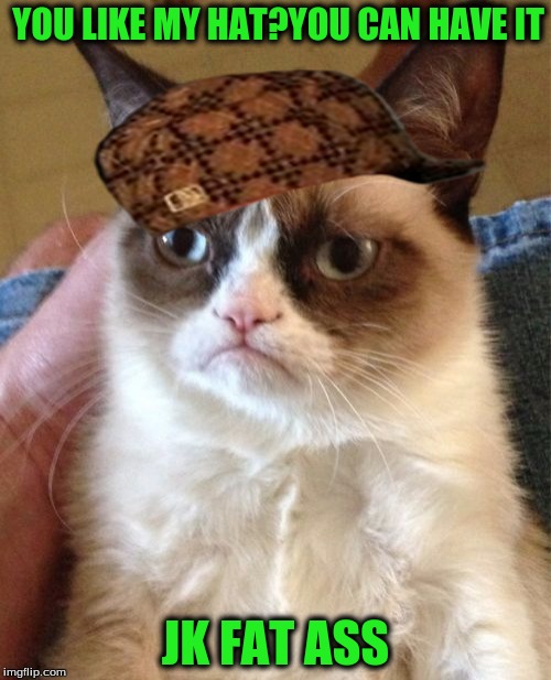 Grumpy Cat | YOU LIKE MY HAT?YOU CAN HAVE IT JK FAT ASS | image tagged in memes,grumpy cat,scumbag | made w/ Imgflip meme maker