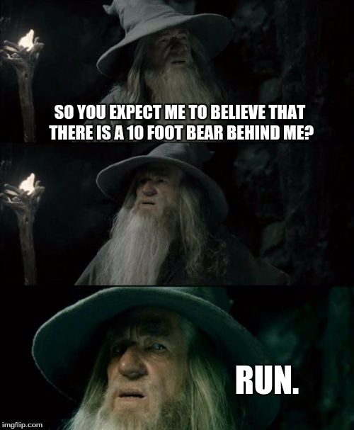 Confused Gandalf Meme | SO YOU EXPECT ME TO BELIEVE THAT THERE IS A 10 FOOT BEAR BEHIND ME? RUN. | image tagged in memes,confused gandalf | made w/ Imgflip meme maker