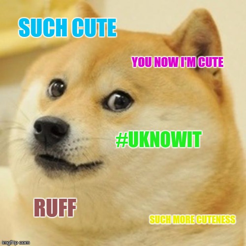 Doge Meme | SUCH CUTE YOU NOW I'M CUTE #UKNOWIT RUFF SUCH MORE CUTENESS | image tagged in memes,doge | made w/ Imgflip meme maker