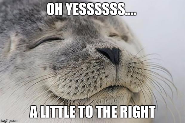 Satisfied Seal | OH YESSSSSS.... A LITTLE TO THE RIGHT | image tagged in memes,satisfied seal | made w/ Imgflip meme maker