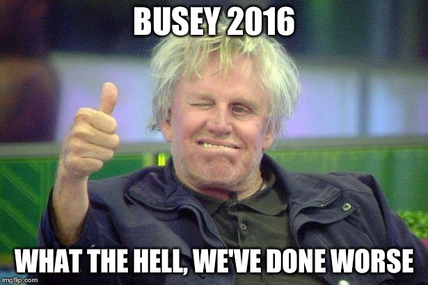 Busey | BUSEY 2016 WHAT THE HELL, WE'VE DONE WORSE | image tagged in busey | made w/ Imgflip meme maker