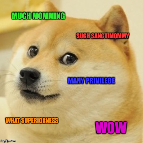 Doge Meme | MUCH MOMMING SUCH SANCTIMOMMY MANY PRIVILEGE WHAT SUPERIORNESS WOW | image tagged in memes,doge | made w/ Imgflip meme maker
