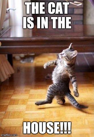 Cool Cat Stroll | THE CAT IS IN THE HOUSE!!! | image tagged in memes,cool cat stroll | made w/ Imgflip meme maker
