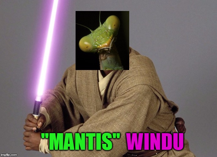 "MANTIS" WINDU | made w/ Imgflip meme maker