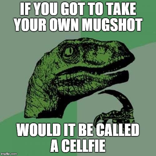 Philosoraptor Meme | IF YOU GOT TO TAKE YOUR OWN MUGSHOT WOULD IT BE CALLED A CELLFIE | image tagged in memes,philosoraptor | made w/ Imgflip meme maker