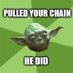 Advice Yoda Meme | PULLED YOUR CHAIN HE DID | image tagged in memes,advice yoda | made w/ Imgflip meme maker