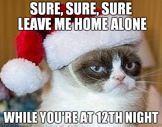 SURE, SURE, SURE LEAVE ME HOME ALONE WHILE YOU'RE AT 12TH NIGHT | image tagged in grumpy cat,grumpy cat christmas,home alone | made w/ Imgflip meme maker
