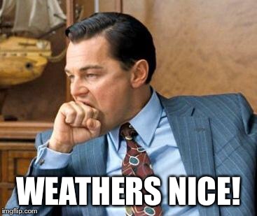 Wolf of wall street | WEATHERS NICE! | image tagged in wolf of wall street | made w/ Imgflip meme maker