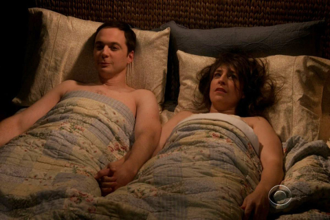 Sheldon Amy Sex Blank Meme Template